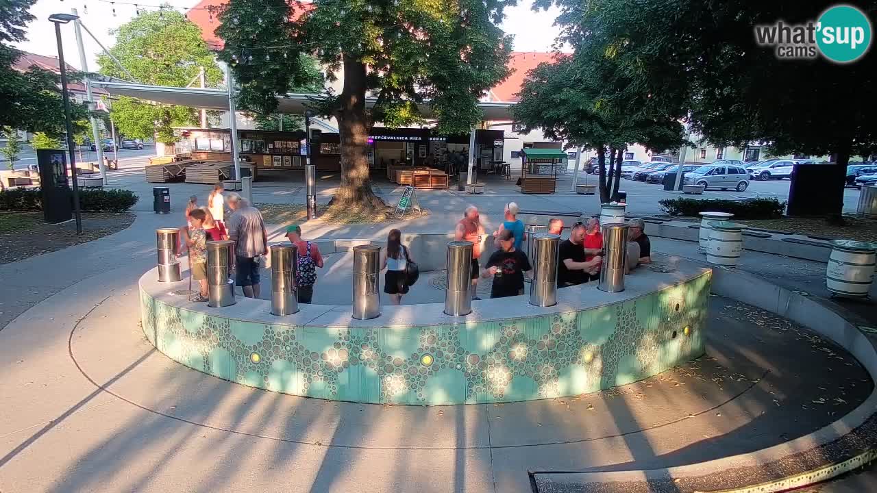 Web kamera Fontana piva – Zeleno zlato – Žalec