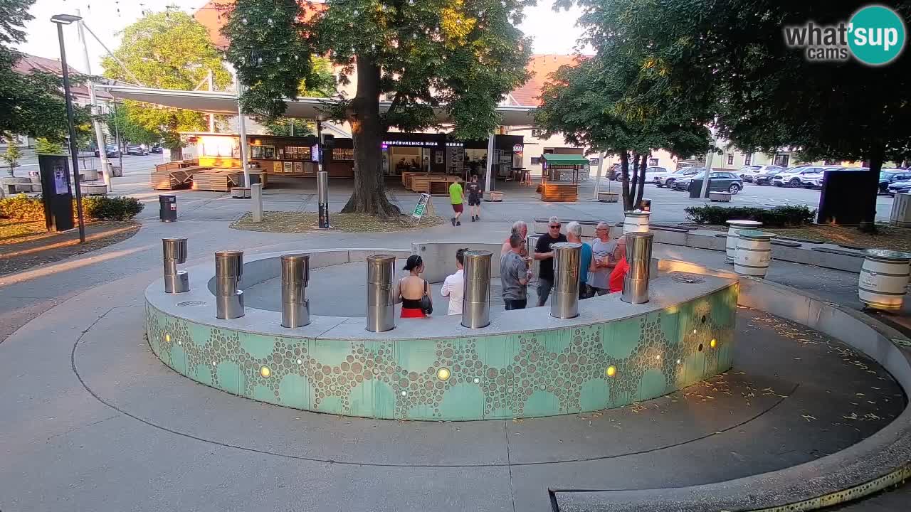 Fontaine à bière LIVE webcam – Or vert – Žalec