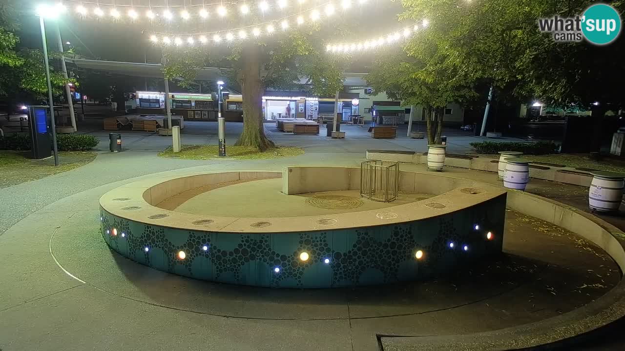 Bier-Springbrunnen Webcam Žalec – Grünen Goldes