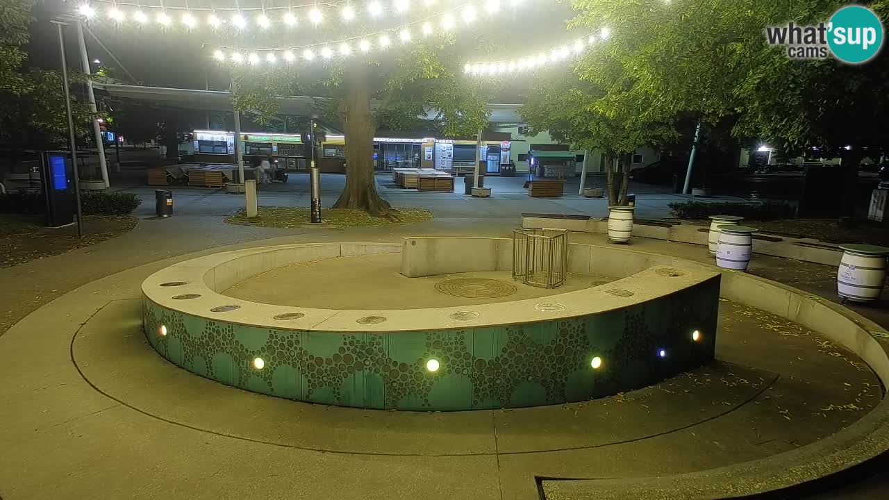 Camera en vivo Fuente de cerveza – Oro verde – Žalec