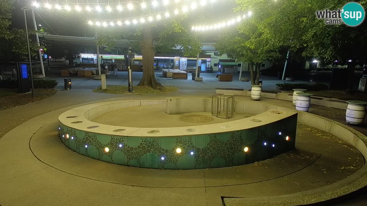 Bier-Springbrunnen Webcam Žalec – Grünen Goldes