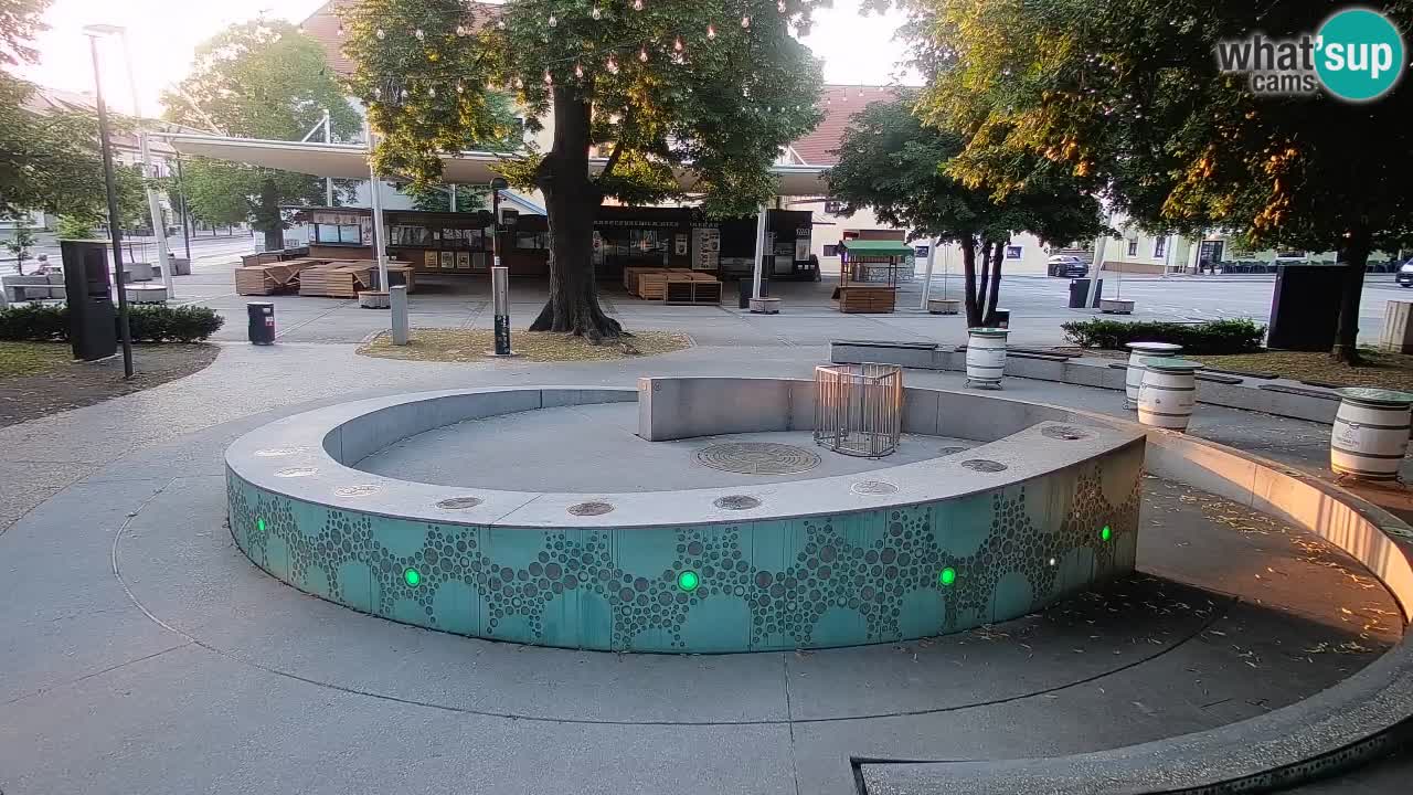 Web kamera Fontana piva – Zeleno zlato – Žalec