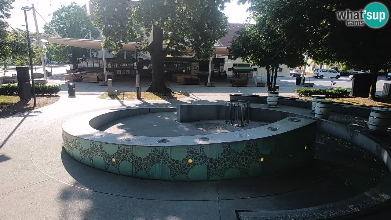 Bier-Springbrunnen Webcam Žalec – Grünen Goldes