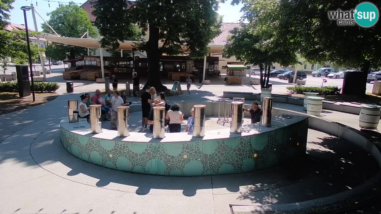 Bier-Springbrunnen Webcam Žalec – Grünen Goldes