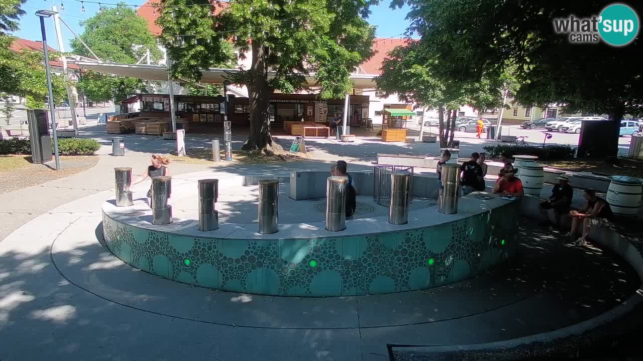 Camera en vivo Fuente de cerveza – Oro verde – Žalec