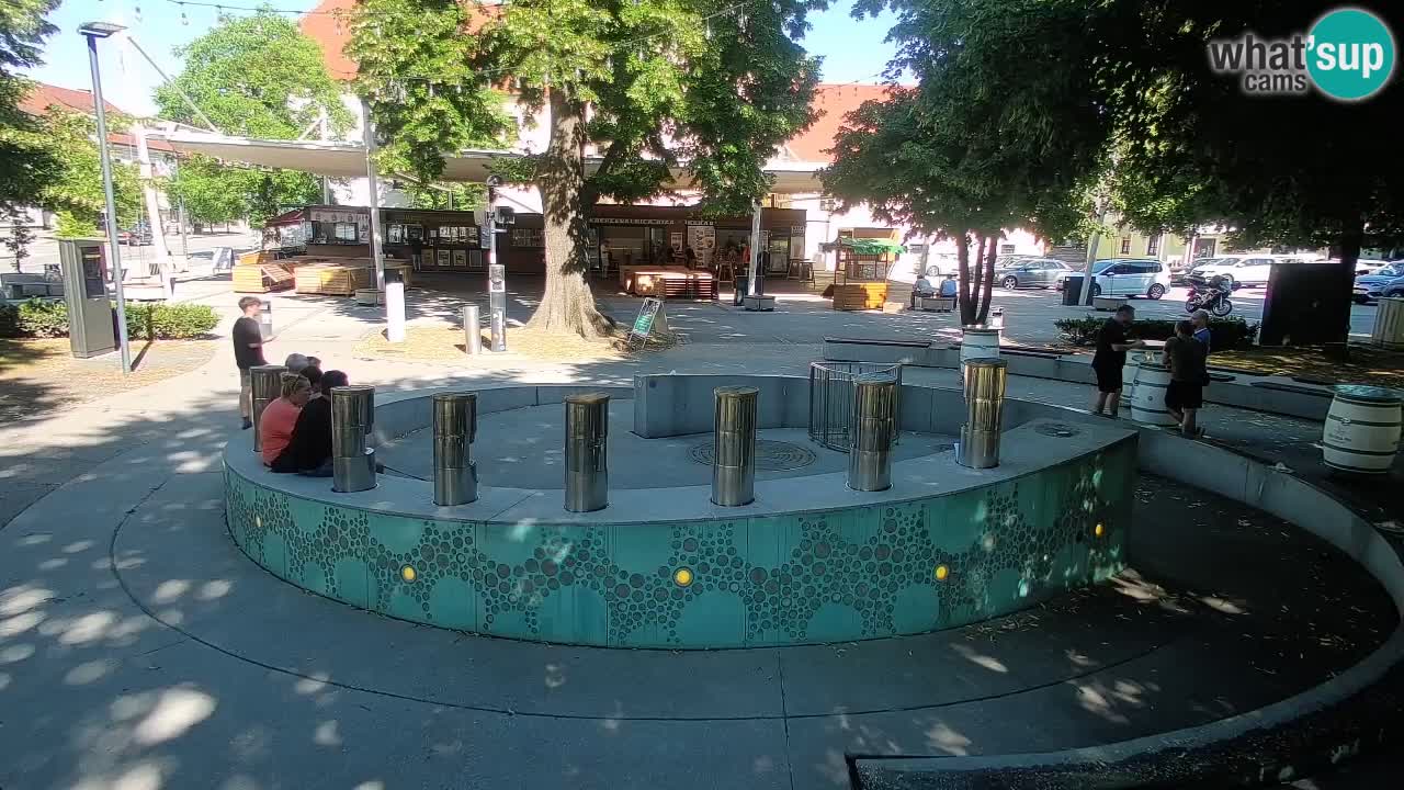 Camera en vivo Fuente de cerveza – Oro verde – Žalec