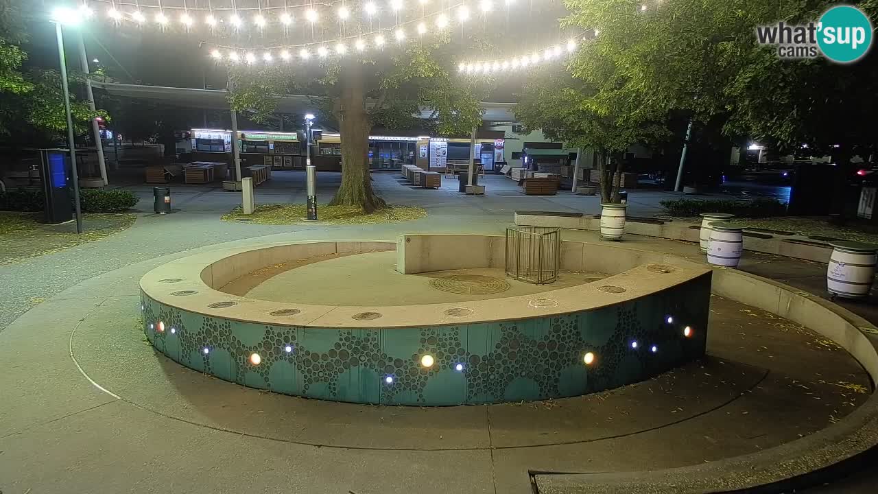 Fontaine à bière LIVE webcam – Or vert – Žalec