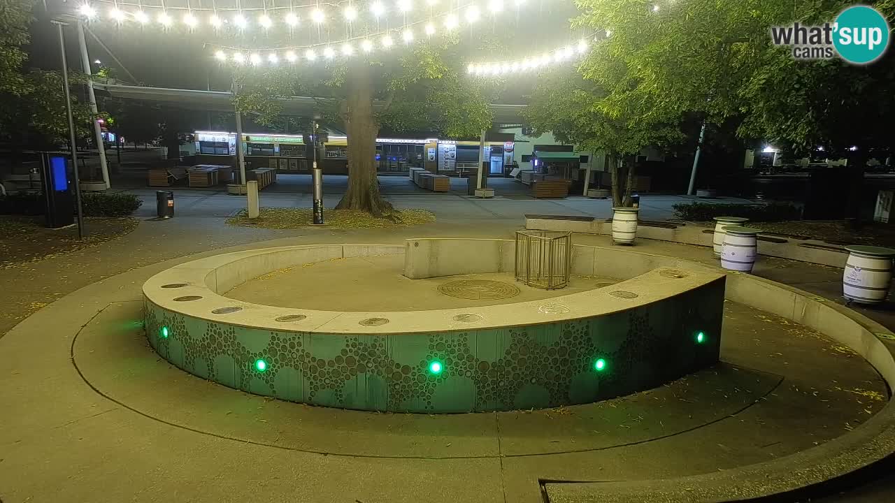 Fontaine à bière LIVE webcam – Or vert – Žalec
