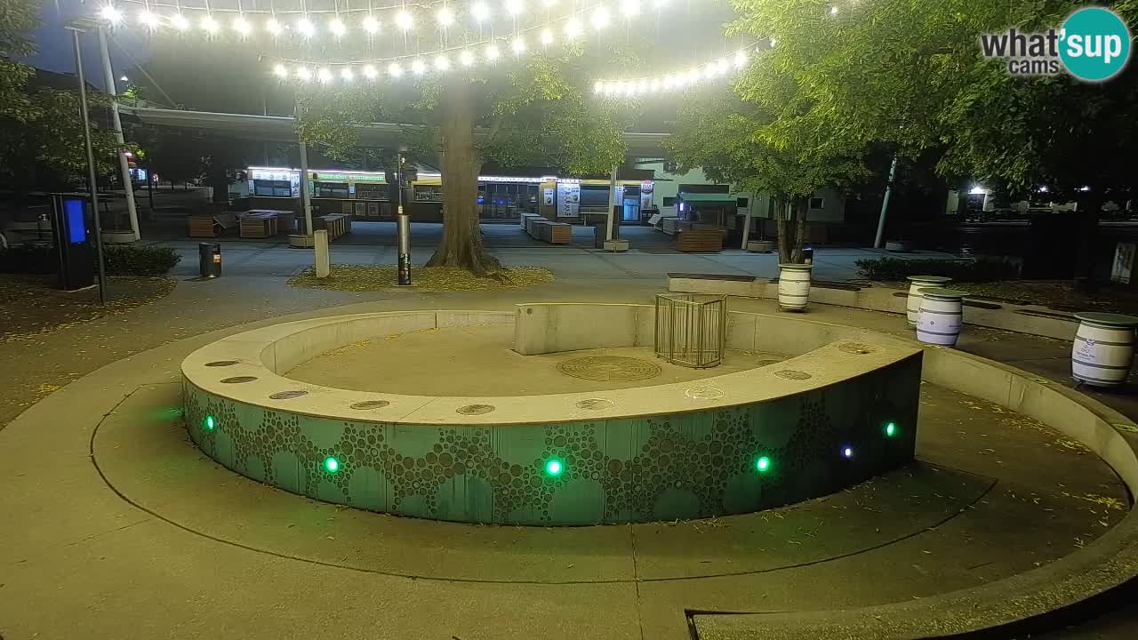 Spletna kamera Fontana Piv – Zeleno zlato Žalec