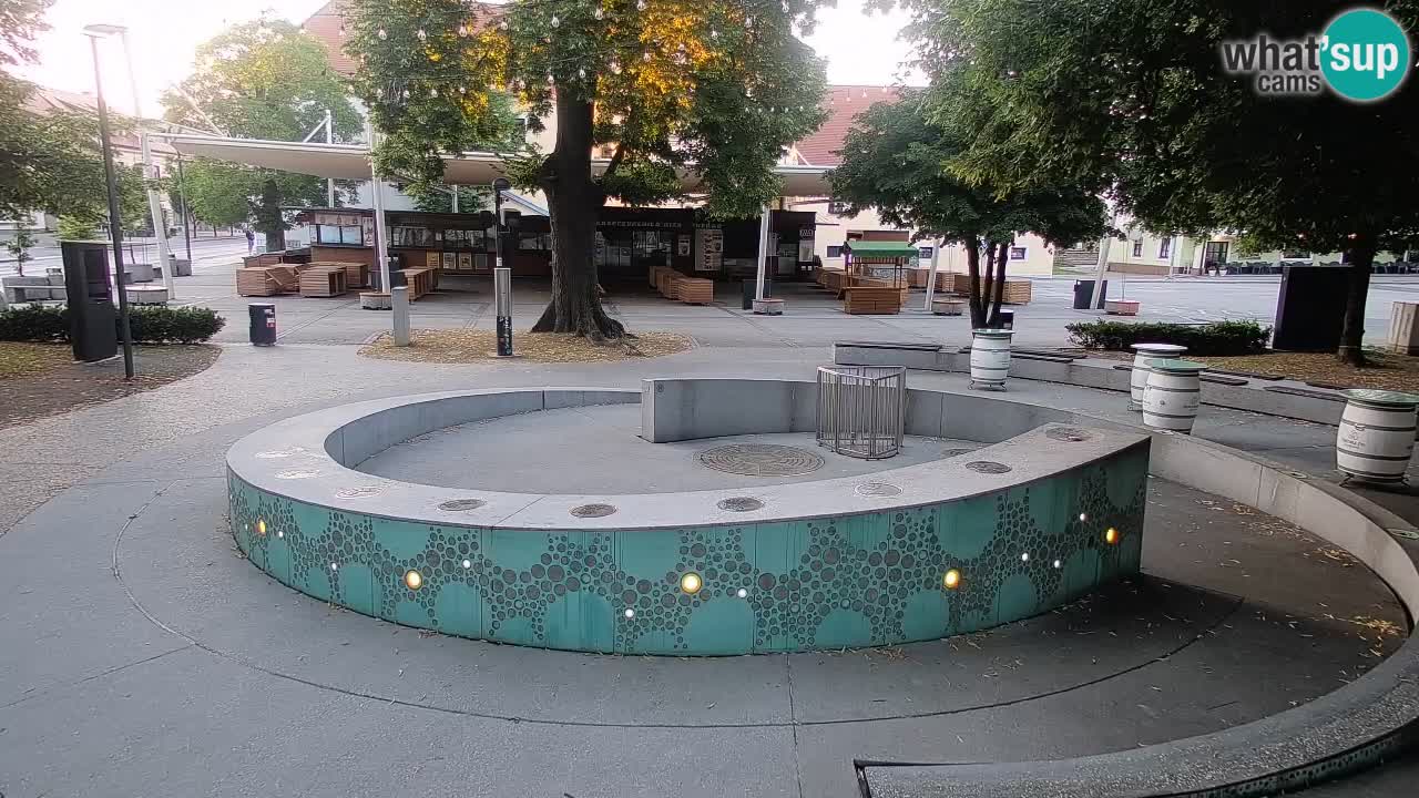 Bier-Springbrunnen Webcam Žalec – Grünen Goldes