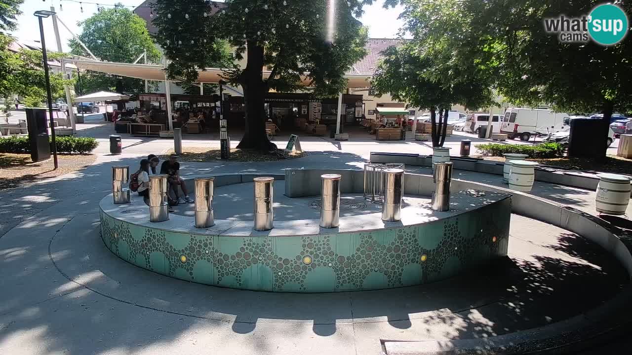 Camera en vivo Fuente de cerveza – Oro verde – Žalec