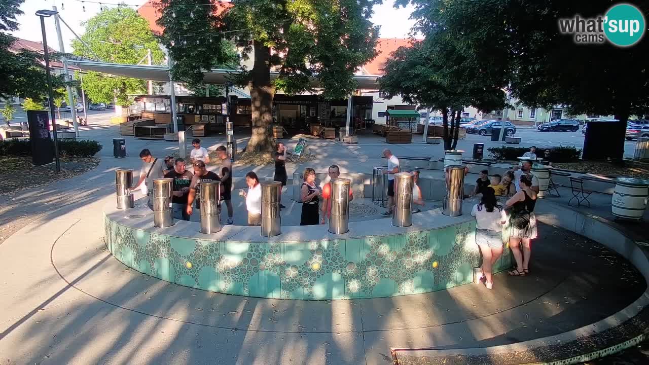 Fontana di birra Webcam – Oro verde – Žalec