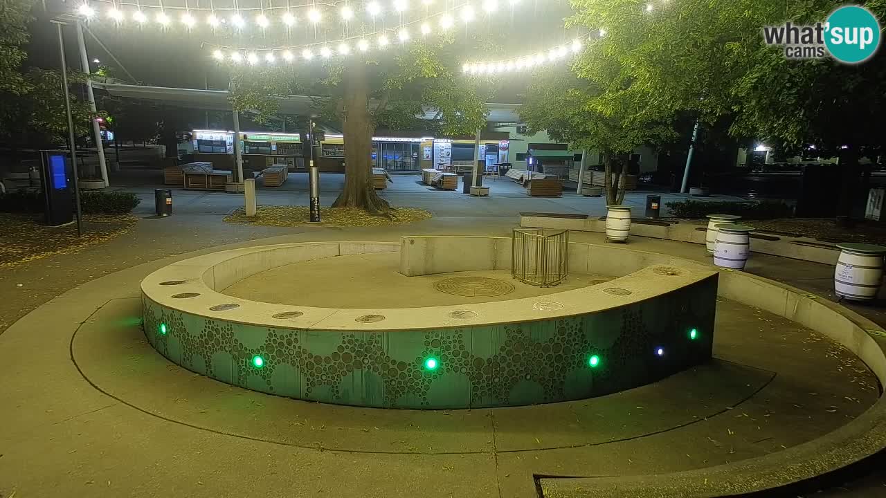 Bier-Springbrunnen Webcam Žalec – Grünen Goldes