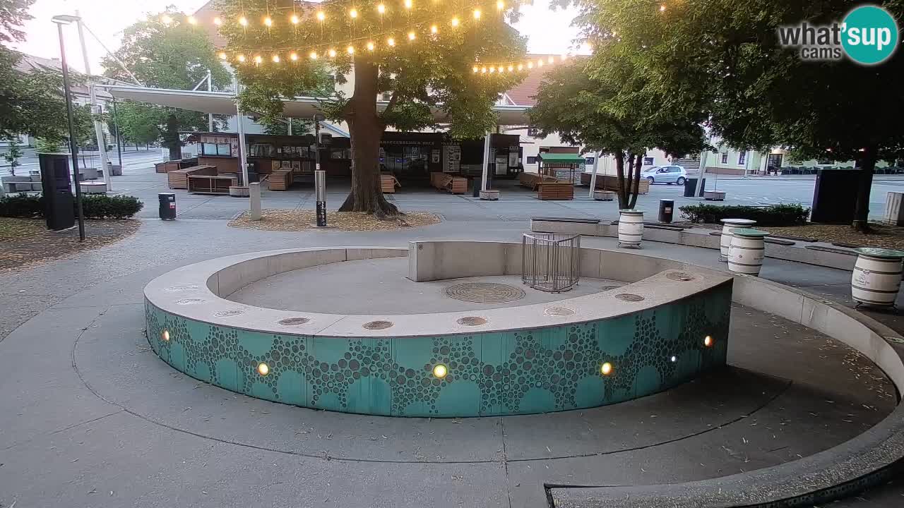 Fontaine à bière LIVE webcam – Or vert – Žalec