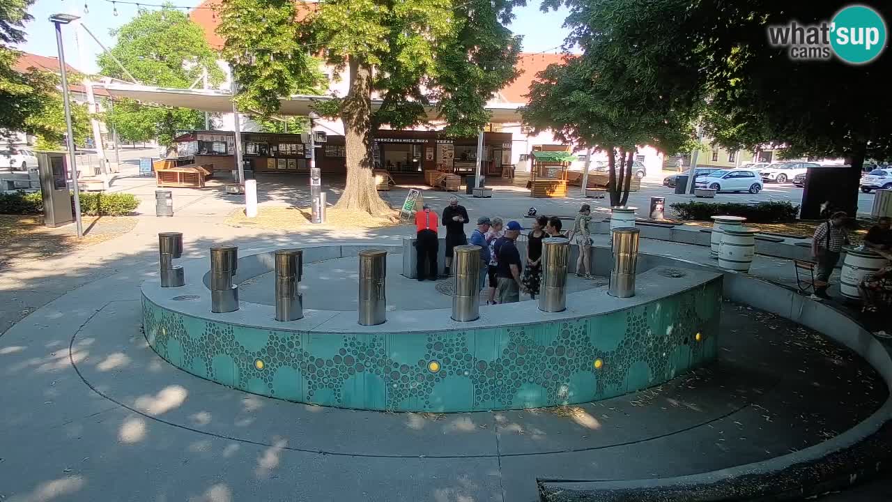 Web kamera Fontana piva – Zeleno zlato – Žalec