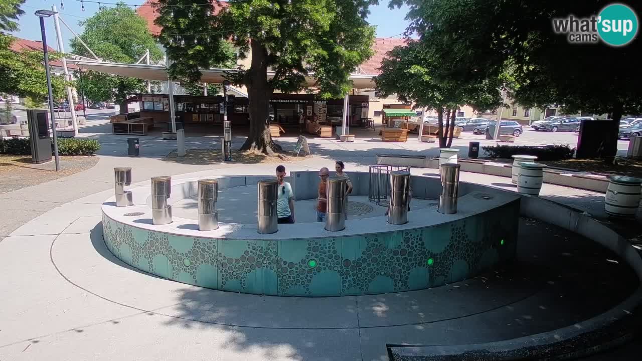 Bier-Springbrunnen Webcam Žalec – Grünen Goldes