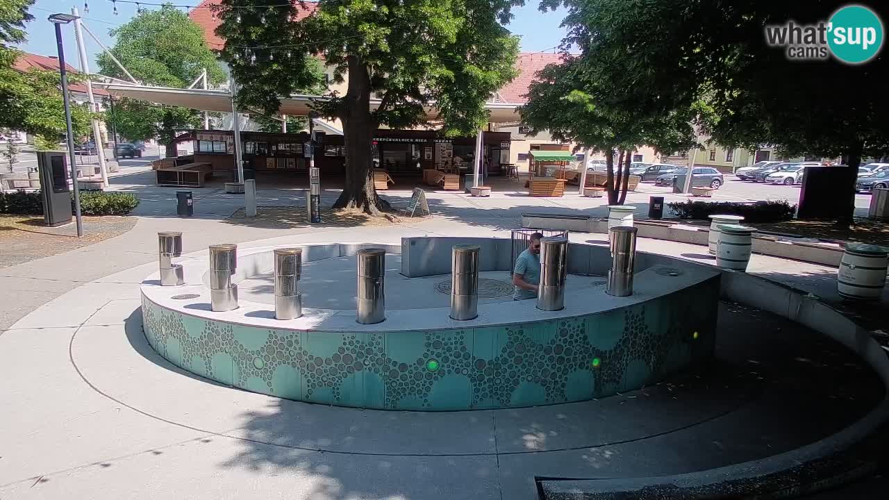Fontana di birra Webcam – Oro verde – Žalec