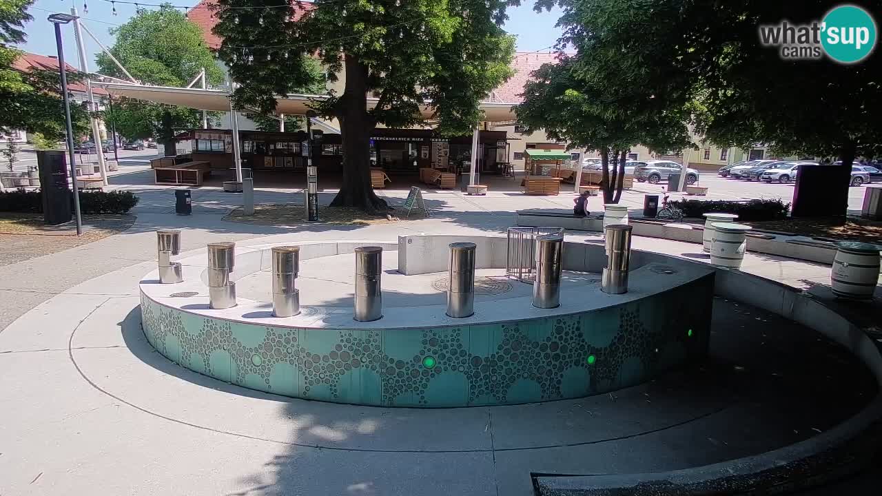 Web kamera Fontana piva – Zeleno zlato – Žalec