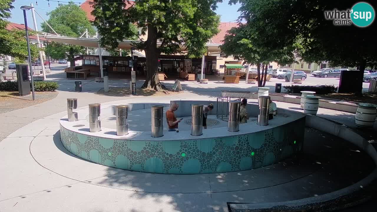 Web kamera Fontana piva – Zeleno zlato – Žalec