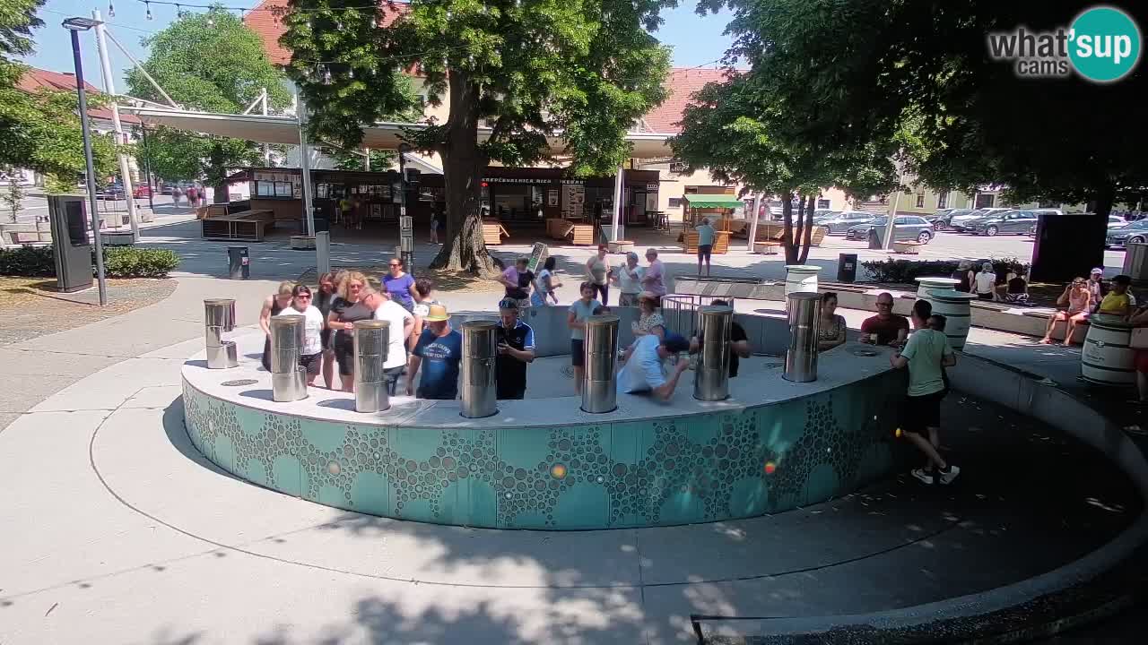Spletna kamera Fontana Piv – Zeleno zlato Žalec