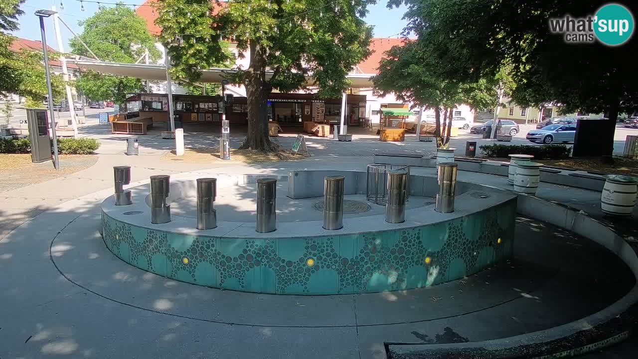Fontana di birra Webcam – Oro verde – Žalec