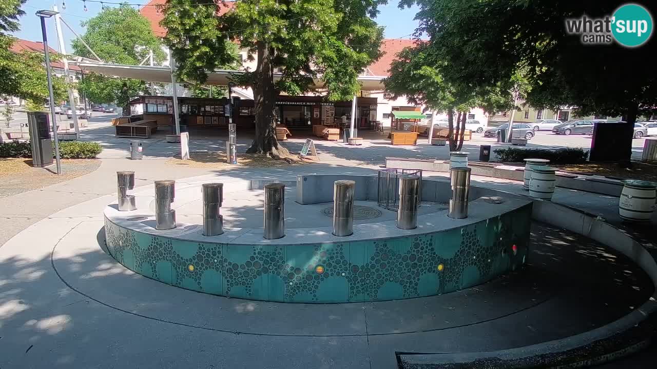 Fontaine à bière LIVE webcam – Or vert – Žalec