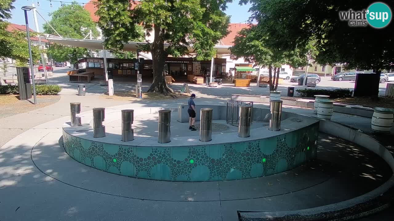 Web kamera Fontana piva – Zeleno zlato – Žalec
