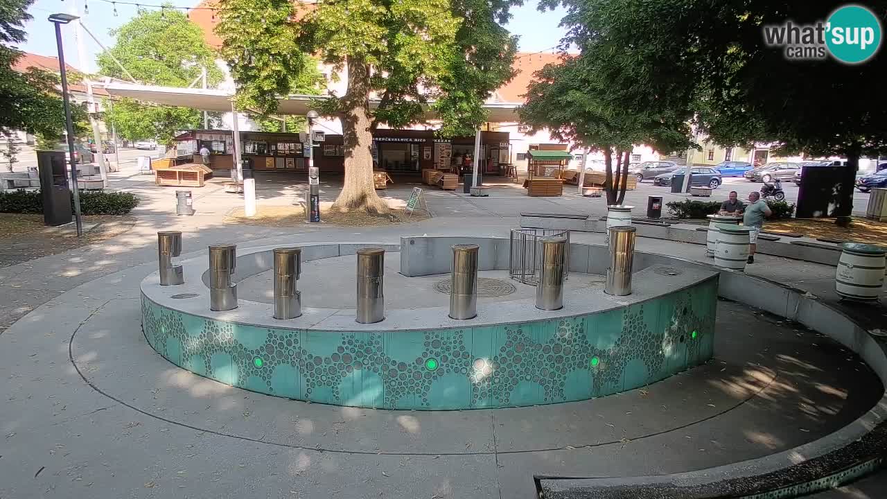 Bier-Springbrunnen Webcam Žalec – Grünen Goldes