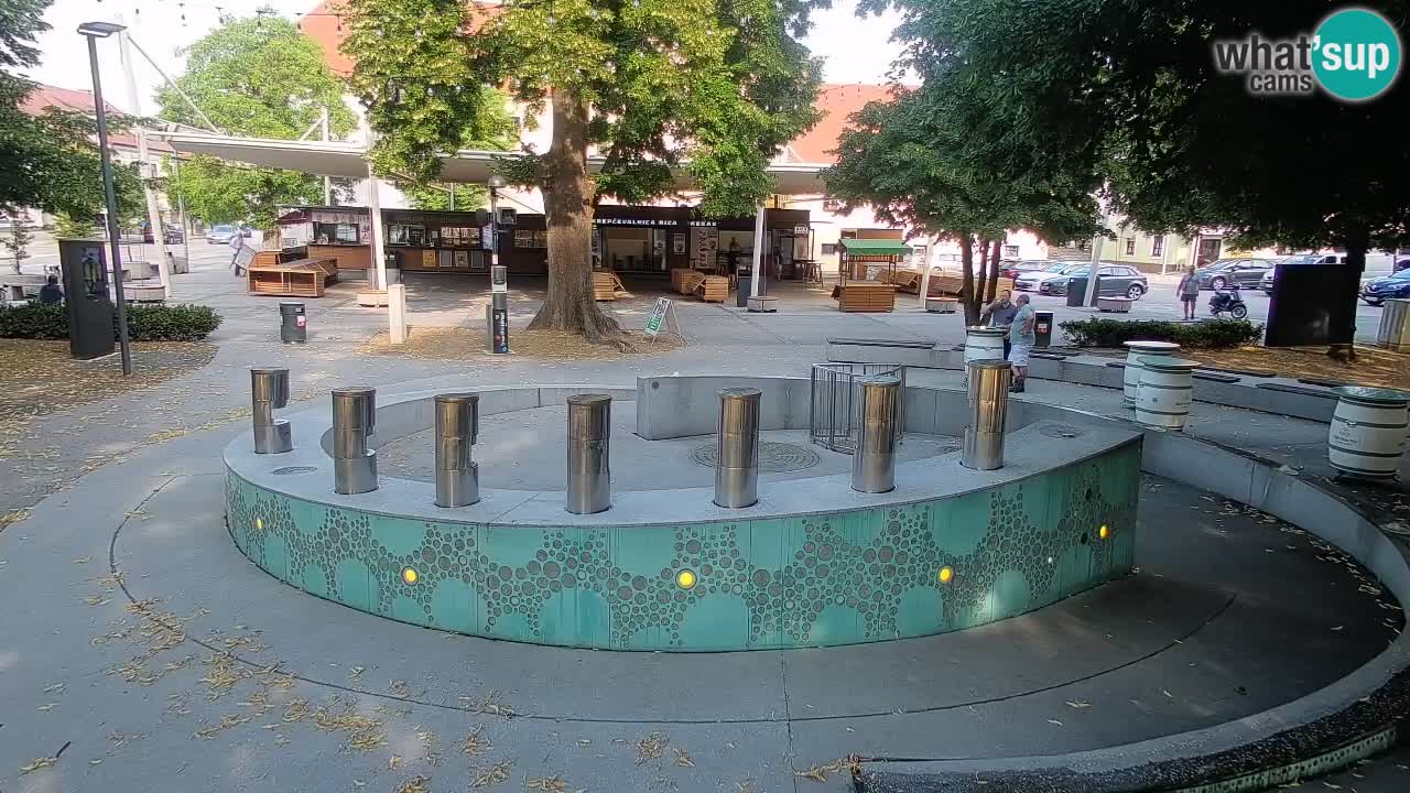 Web kamera Fontana piva – Zeleno zlato – Žalec