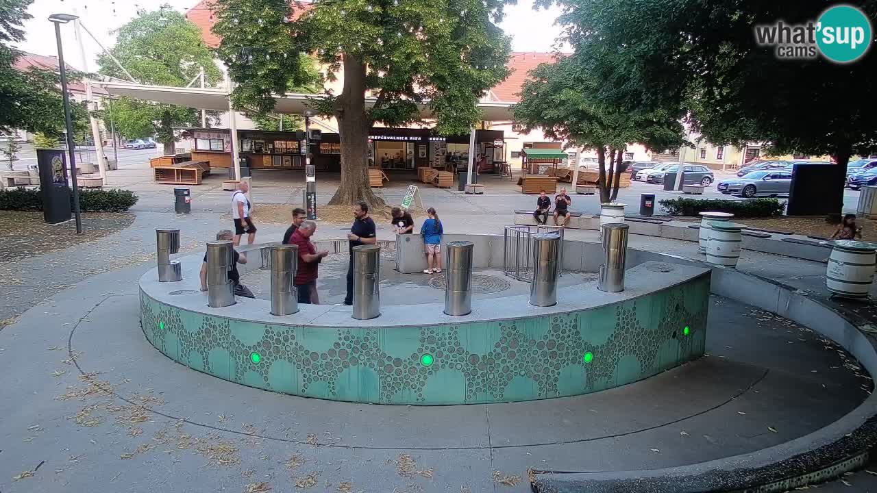 Bier-Springbrunnen Webcam Žalec – Grünen Goldes