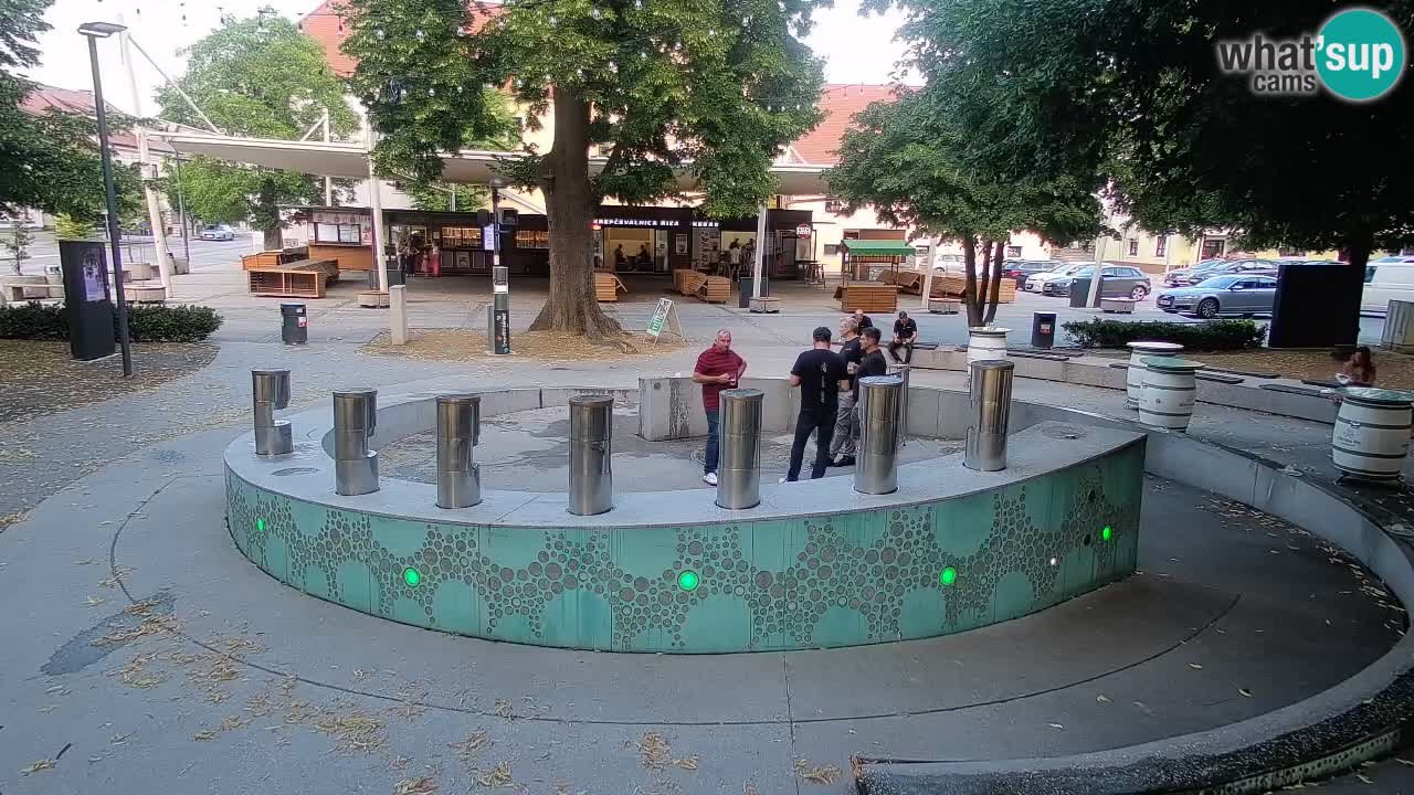 Spletna kamera Fontana Piv – Zeleno zlato Žalec