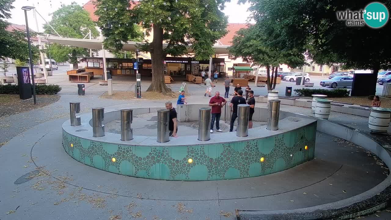 Fontaine à bière LIVE webcam – Or vert – Žalec