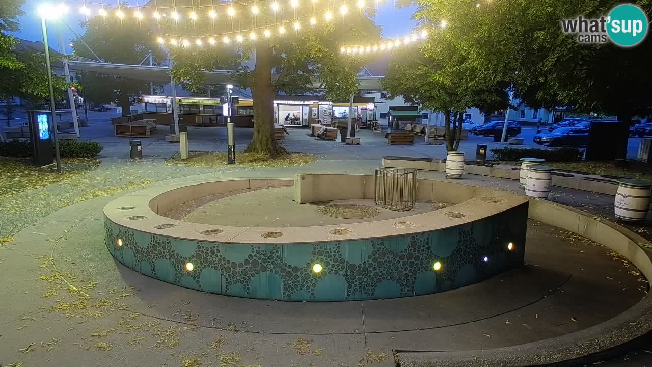 Fontana di birra Webcam – Oro verde – Žalec