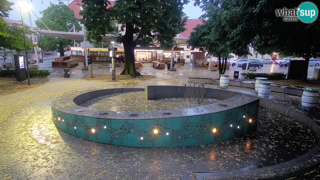 Bier-Springbrunnen Webcam Žalec – Grünen Goldes