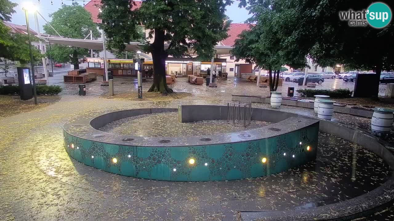 Camera en vivo Fuente de cerveza – Oro verde – Žalec