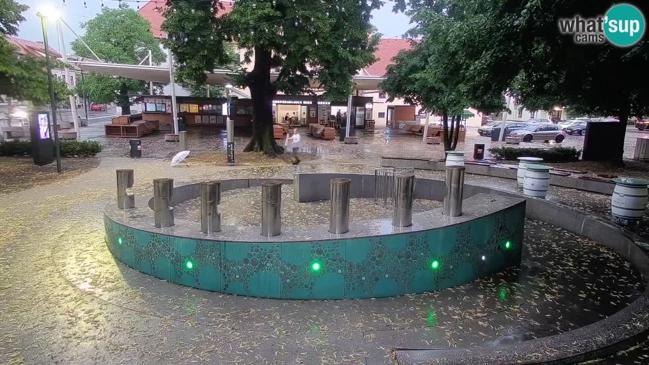 Spletna kamera Fontana Piv – Zeleno zlato Žalec