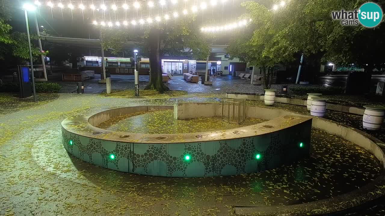 Fontana di birra Webcam – Oro verde – Žalec