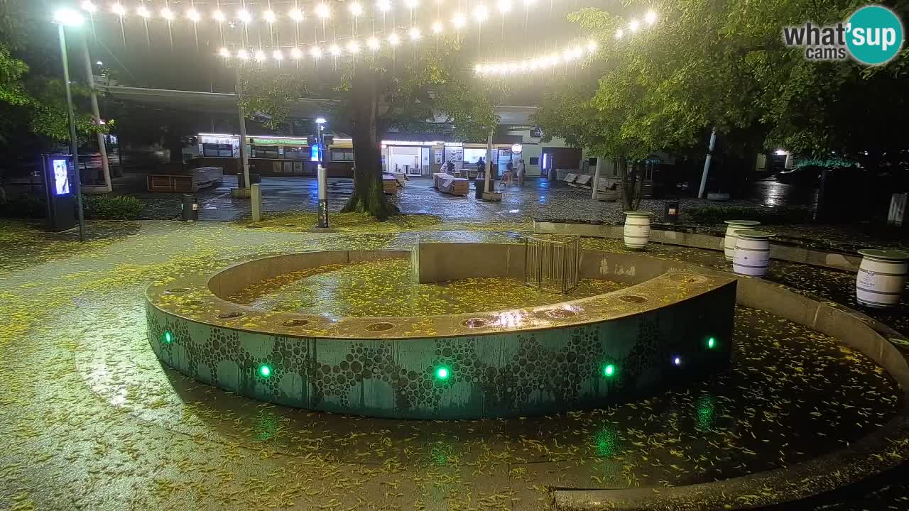 Web kamera Fontana piva – Zeleno zlato – Žalec