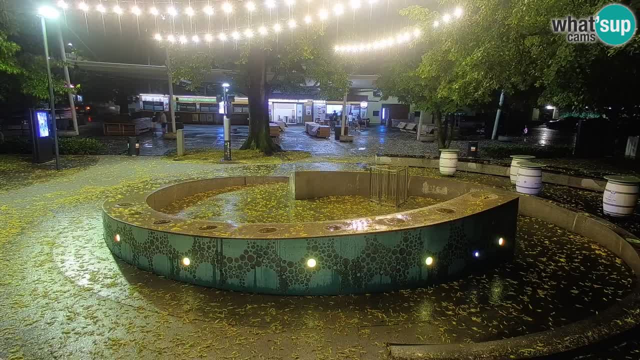 Spletna kamera Fontana Piv – Zeleno zlato Žalec