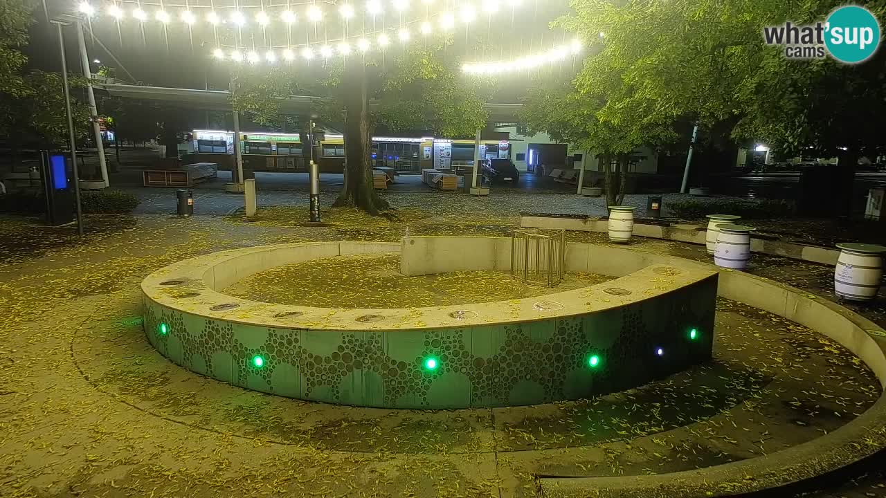 Fontaine à bière LIVE webcam – Or vert – Žalec