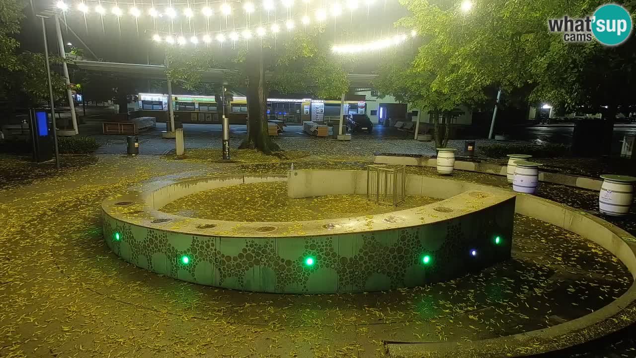 Fontaine à bière LIVE webcam – Or vert – Žalec