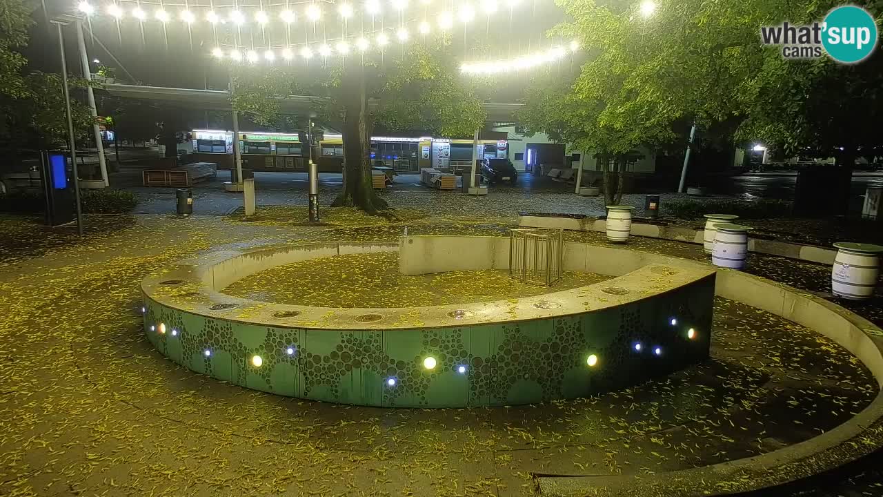 Web kamera Fontana piva – Zeleno zlato – Žalec