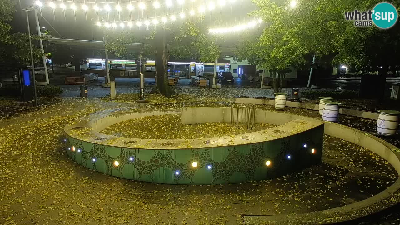 Spletna kamera Fontana Piv – Zeleno zlato Žalec
