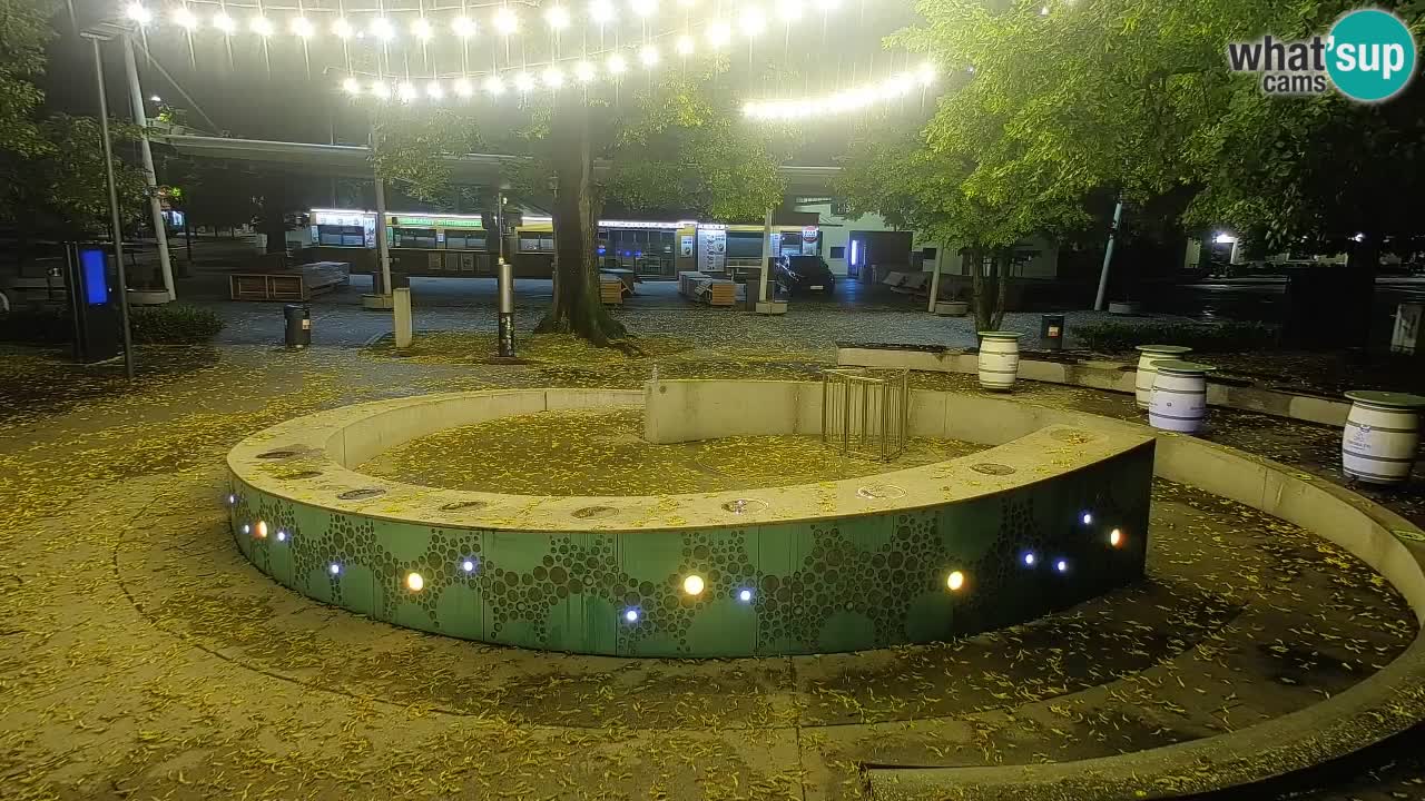 Fontana di birra Webcam – Oro verde – Žalec