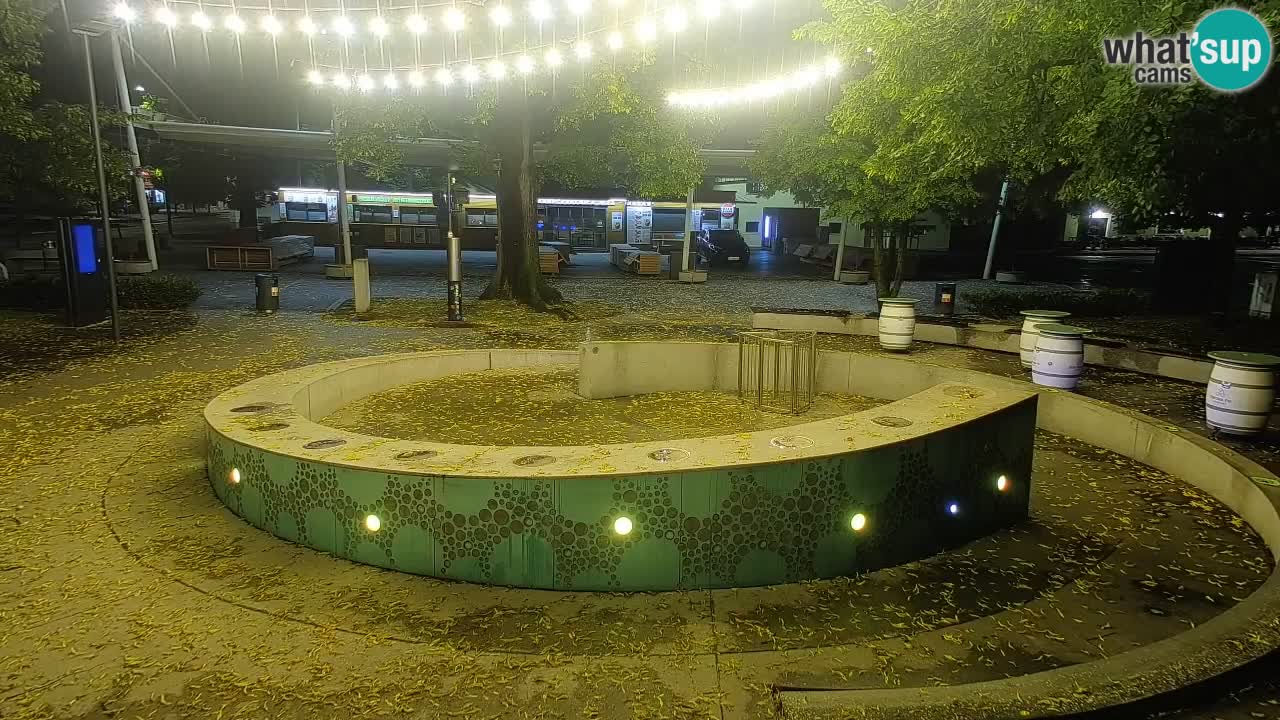 Spletna kamera Fontana Piv – Zeleno zlato Žalec