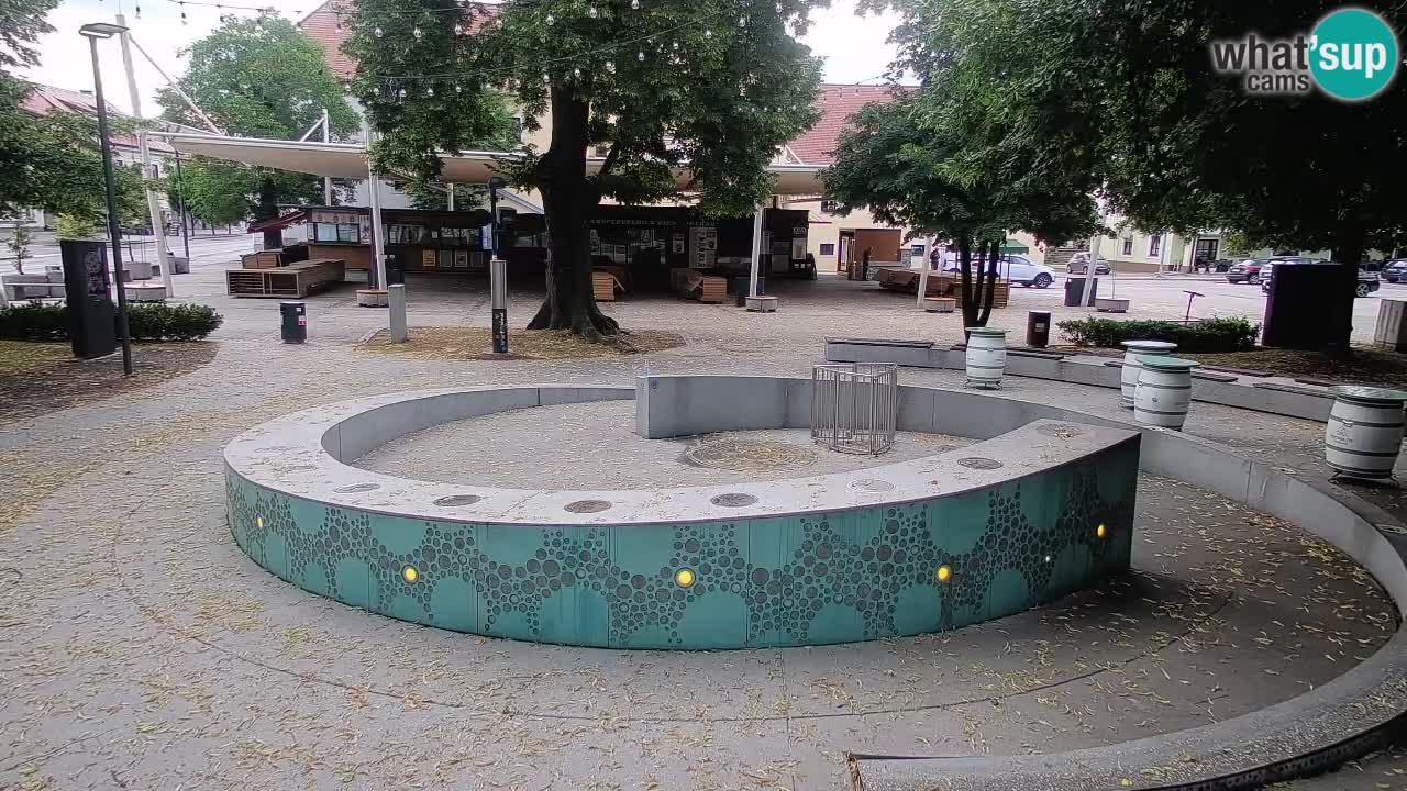 Spletna kamera Fontana Piv – Zeleno zlato Žalec