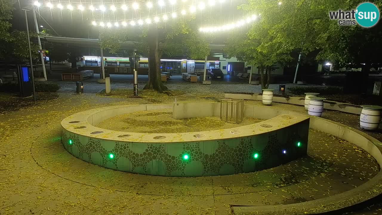 Web kamera Fontana piva – Zeleno zlato – Žalec