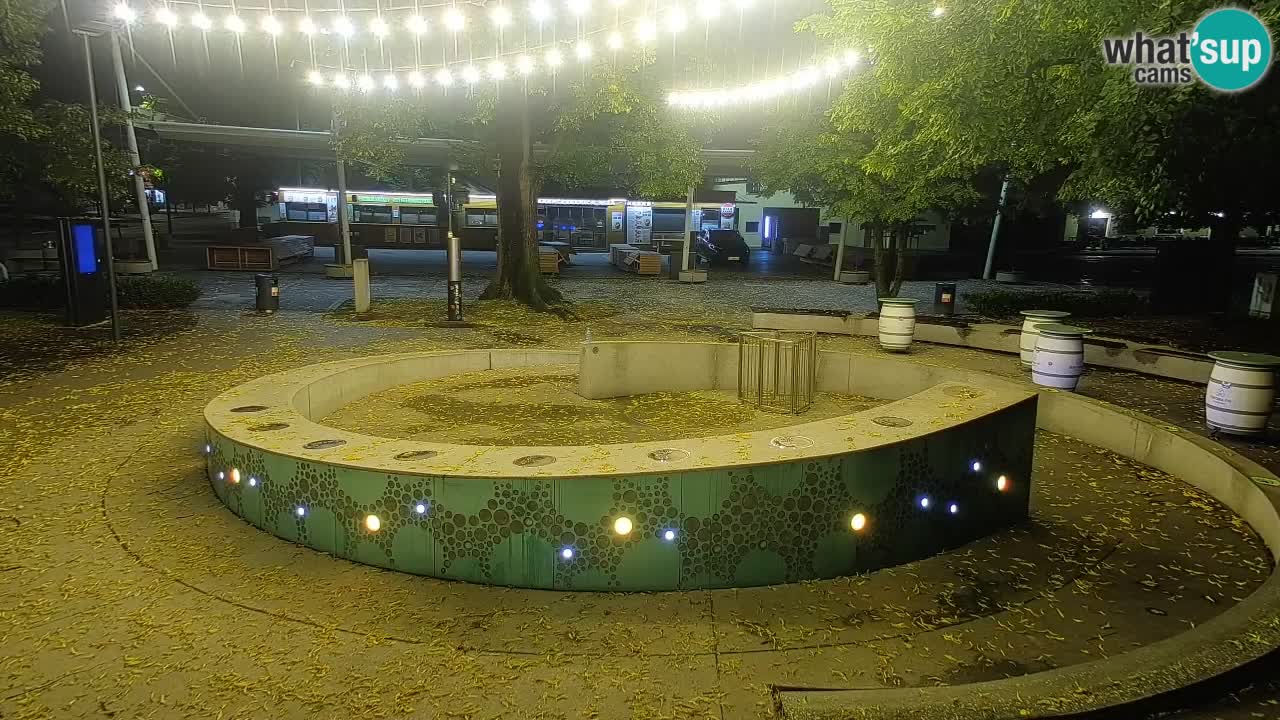 Web kamera Fontana piva – Zeleno zlato – Žalec