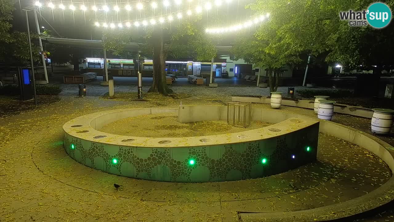 Fontaine à bière LIVE webcam – Or vert – Žalec