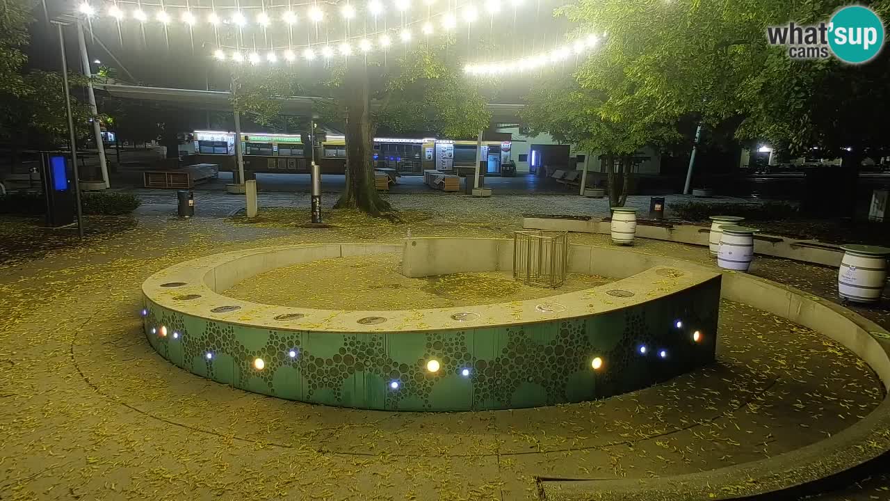 Camera en vivo Fuente de cerveza – Oro verde – Žalec